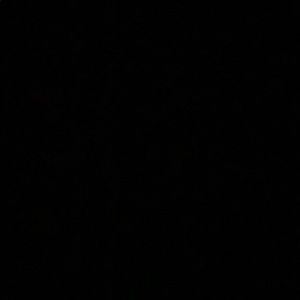 Meet your Posher, Carly